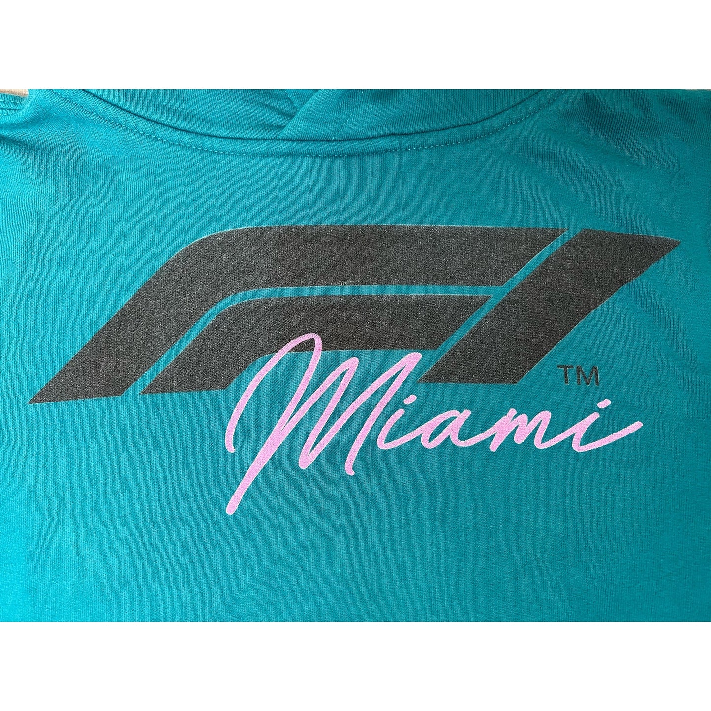 Formula 1 F1 Racing Miami Pullover Hoodie Women’s Large