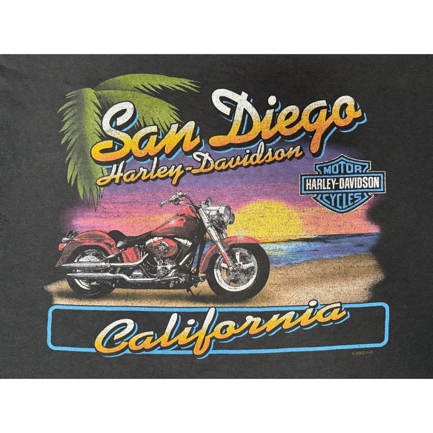 Vintage Y2K Harley Davidson San Diego California T-shirt XL
