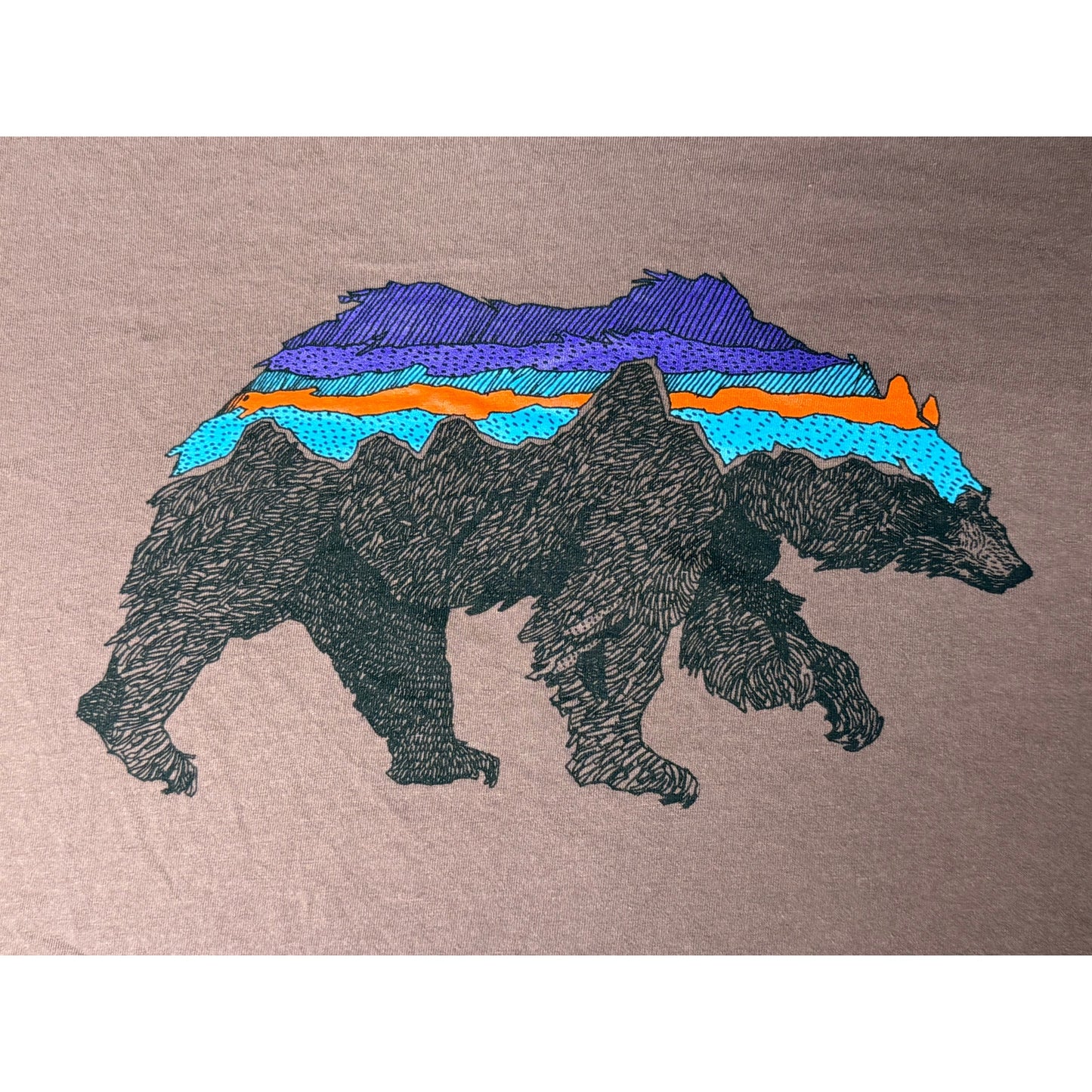 Patagonia Bear Organic Cotton Outdoors Nature T-shirt Small