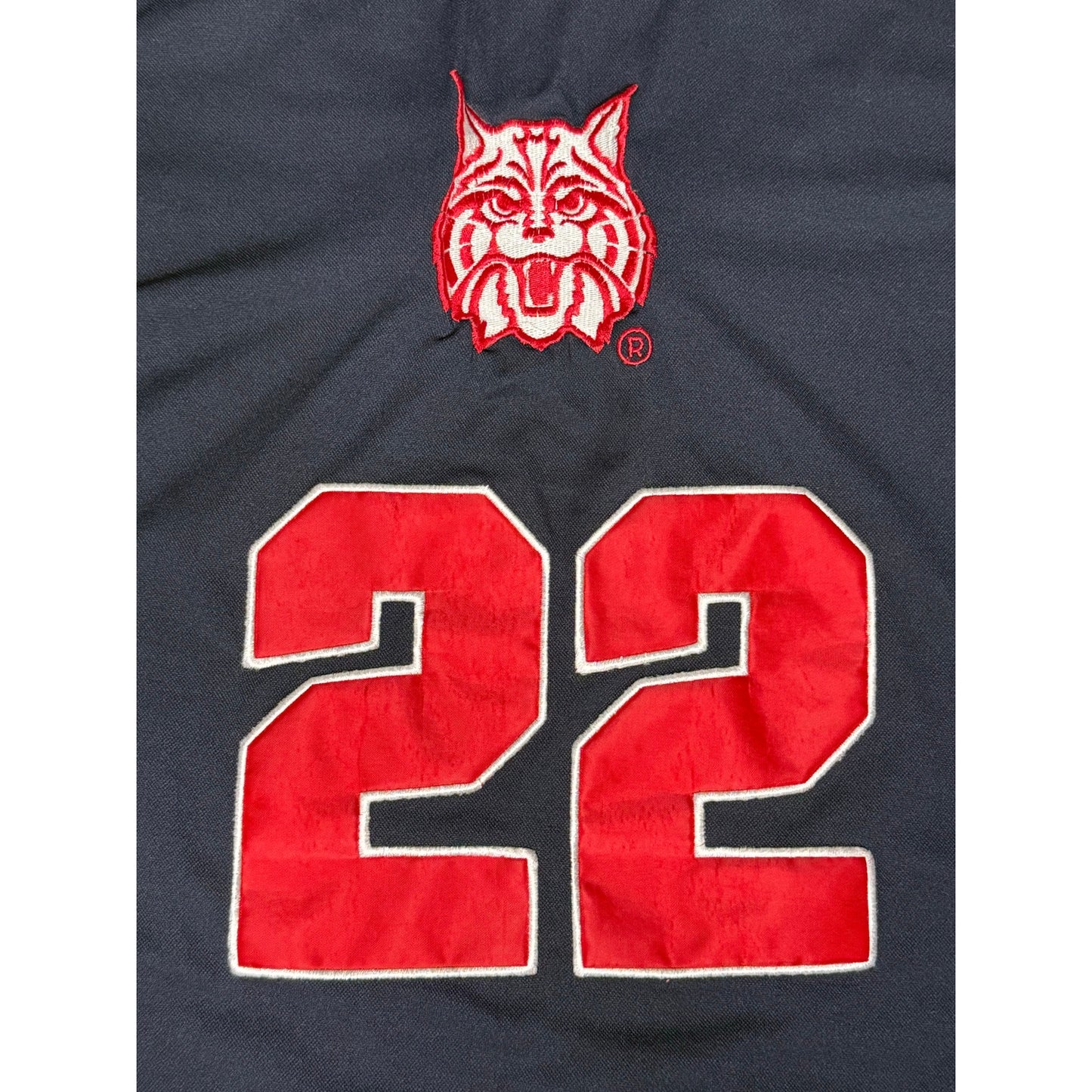Vintage Y2K Arizona Wildcats Colosseum Athletics College Basketball Jersey XL