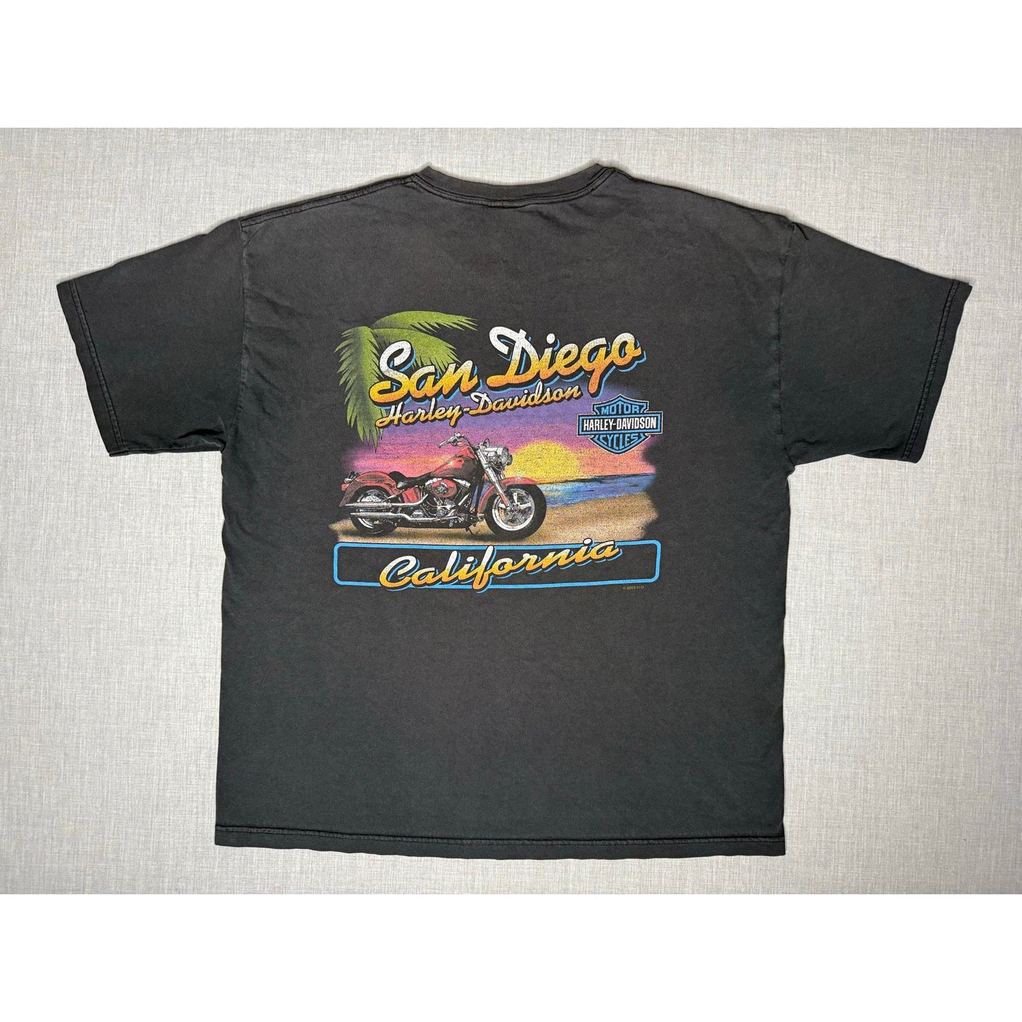 Vintage Y2K Harley Davidson San Diego California T-shirt XL