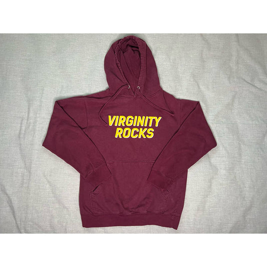 Virginity Rocks Danny Duncan Pullover Hoodie Small