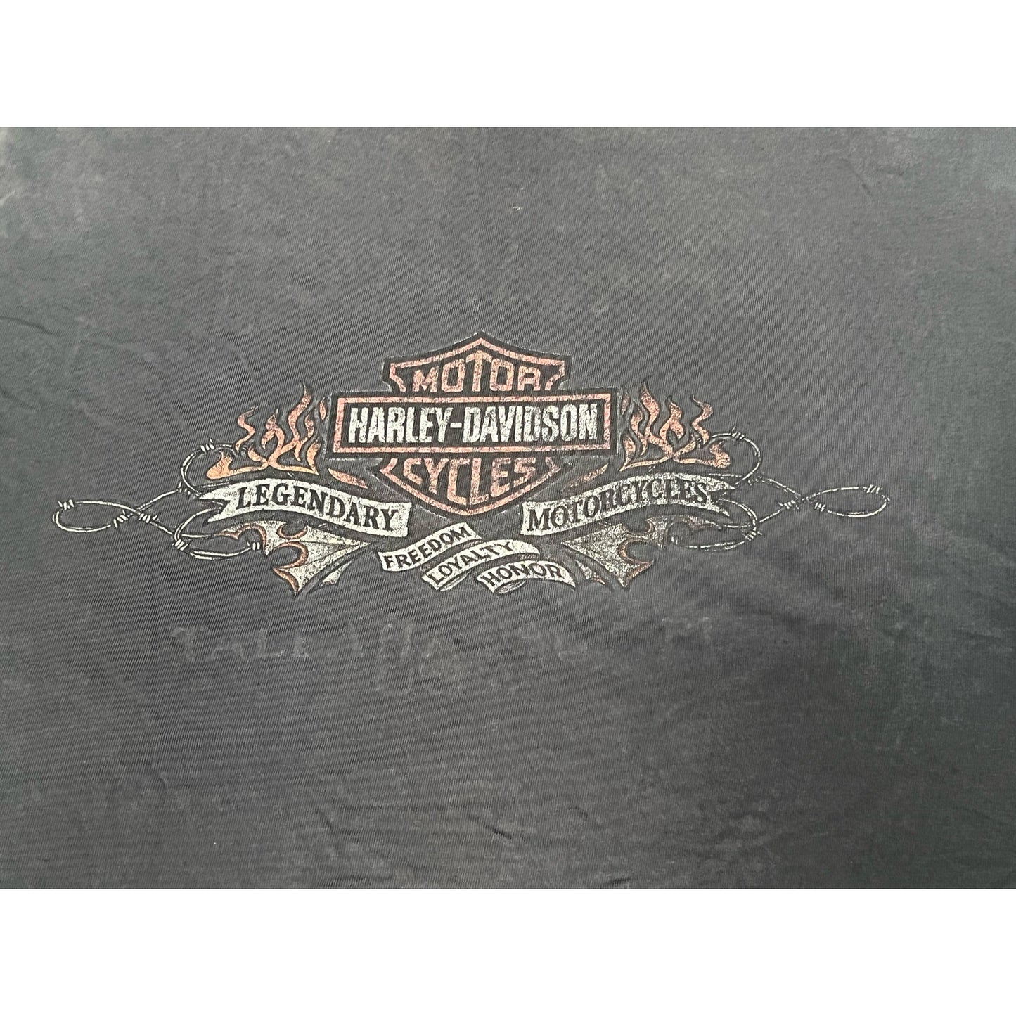 Harley Davidson Tallahassee Florida Skull T-shirt XL