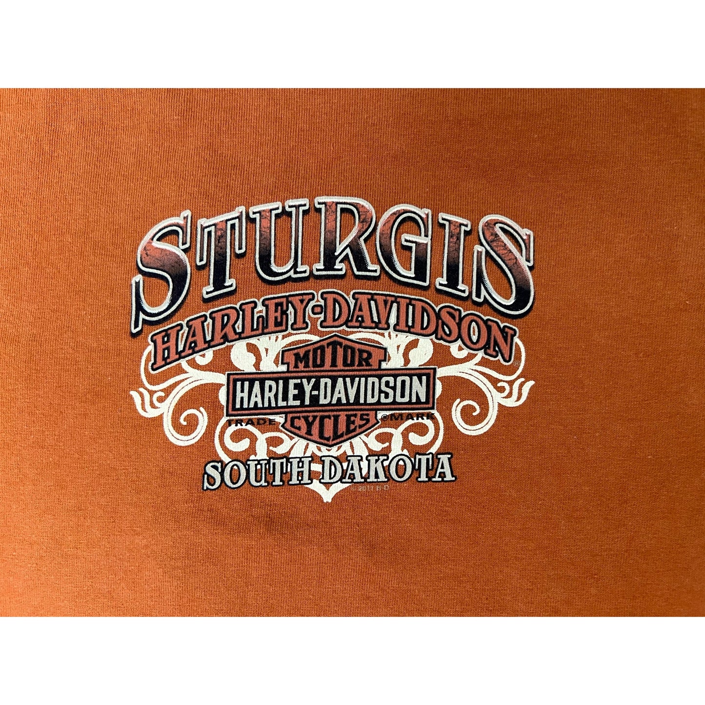 Harley Davidson Sturgis South Dakota Mount Rushmore T-shirt Small