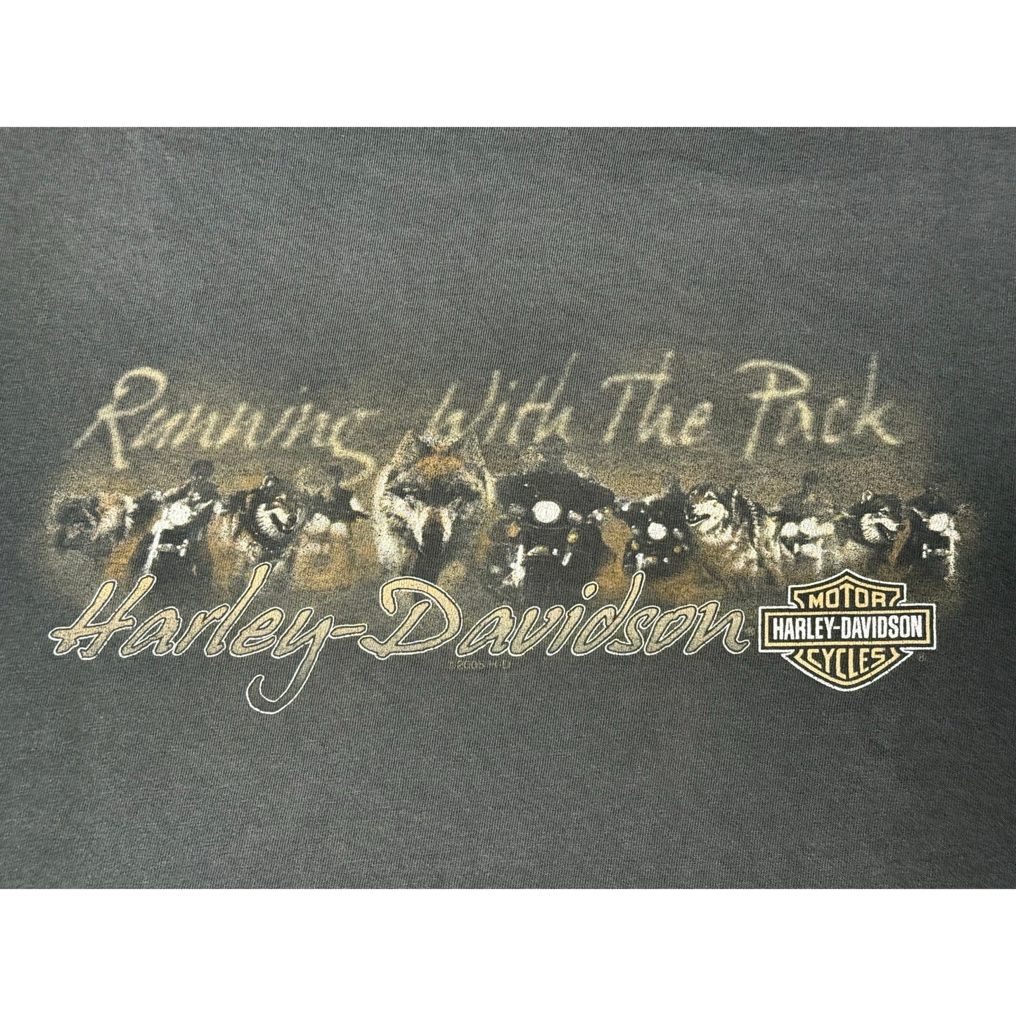 Vintage Y2K Harley Davidson San Diego California T-shirt XL