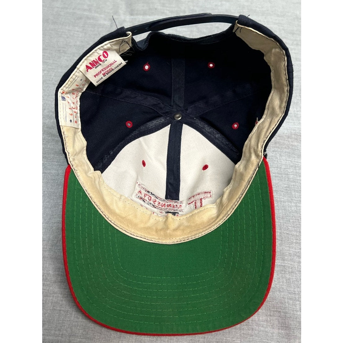 Vintage Minnesota Twins MLB Baseball Snapback Hat