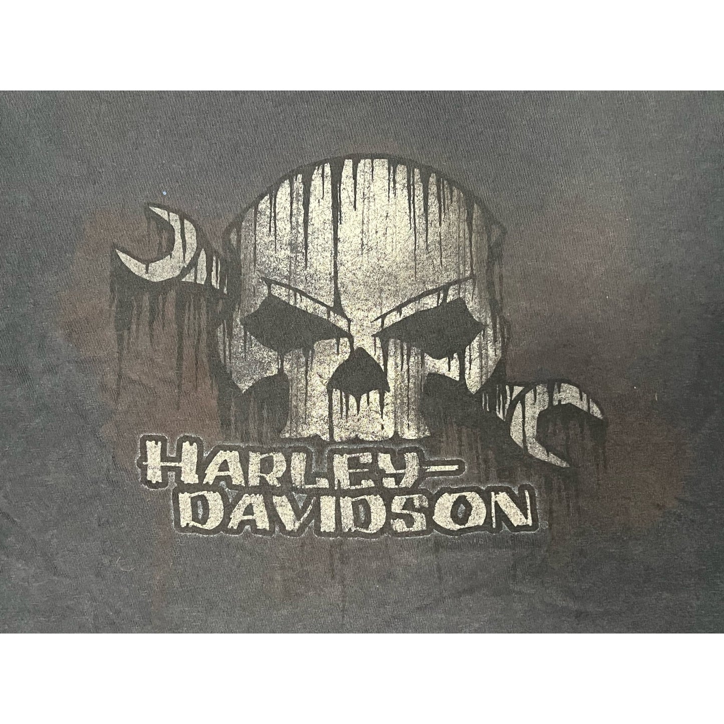 Harley Davidson Tallahassee Florida Skull T-shirt XL