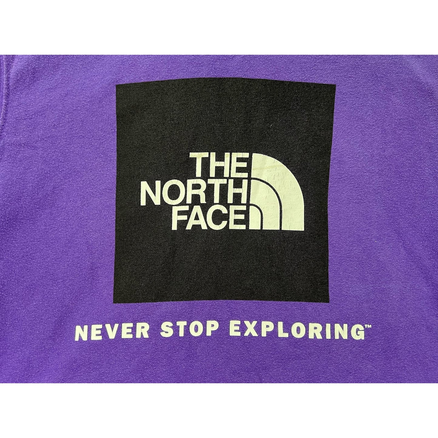 The North Face Double Sided Pullover Hoodie Small