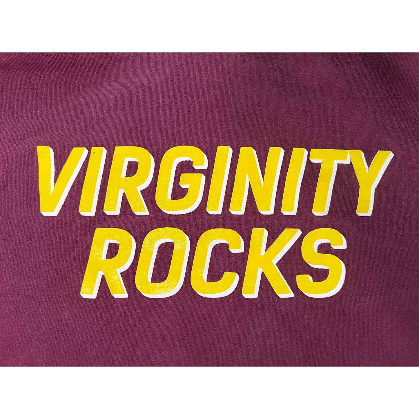 Virginity Rocks Danny Duncan Pullover Hoodie Small