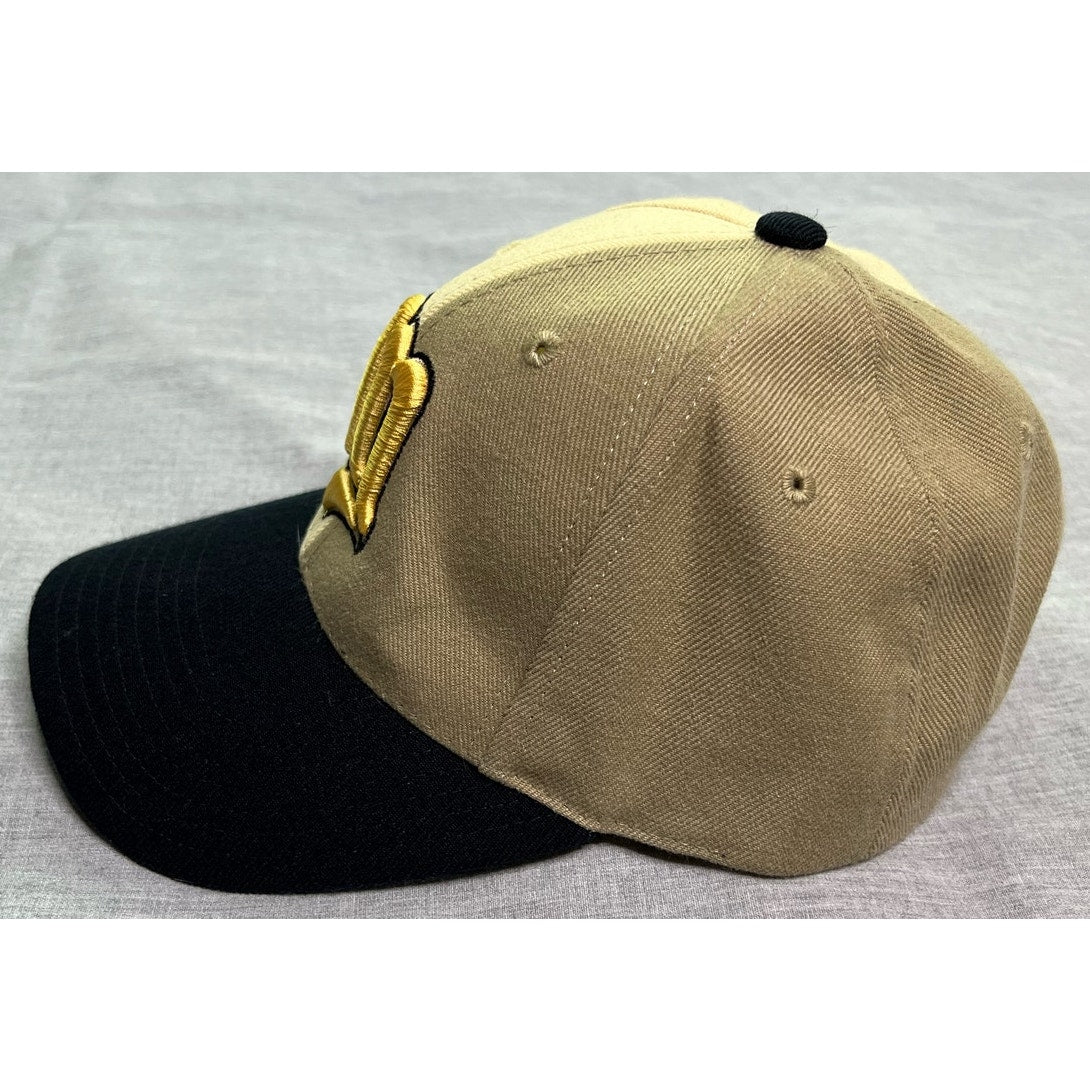 Vintage Minnesota Twins Annco Adjustable Baseball Cap