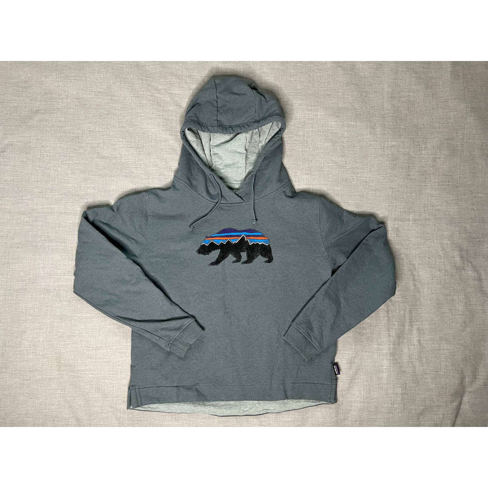 Patagonia Bear Pull Over Hoodie Womens Medium Perfect Fit